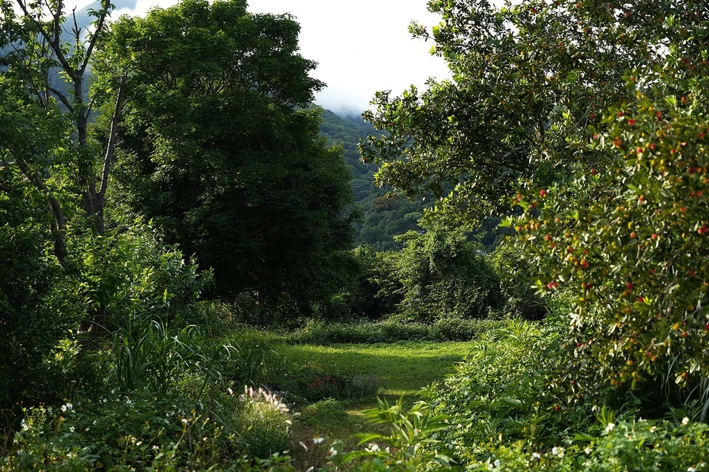 白平方：Ｈ花園區